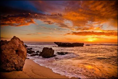 Une lésion hépatique est une lésion du rein.