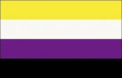 À quelle sexualité appartient ce drapeau ?