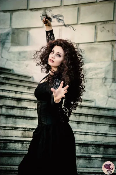 Dans ''Harry Potter et le Prince de sang-mêlé'', que réalise Bellatrix entre Narcissa et Rogue ?