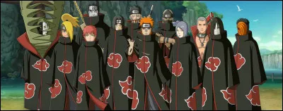Quel membre de l'Akatsuki préfères-tu ?