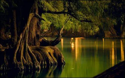 Quelle est la plus grande ville du Mexique ?