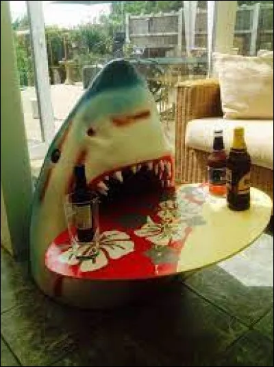 Que dit un requin après avoir très bien mangé ?