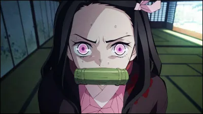 Que se passerait-il si Nezuko attaquait un humain ?