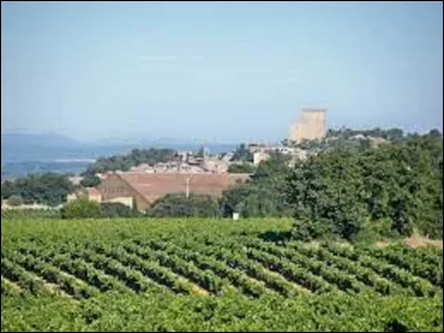 Dans quel d&eacute;partement le terroir du vignoble du ''Ch&acirc;teauneuf-du-Pape'' s'&eacute;tend-il ?