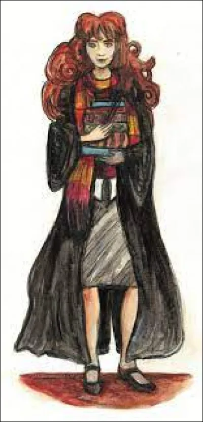 De quoi est faite sa baguette ?