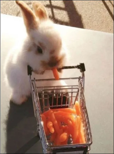 Quelle est ta principale qualité ? (Tu en as beaucoup mais je veux ta plus grande qualité, BG.)