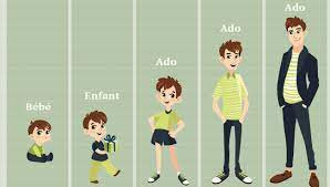 Quiz Test de personnalit