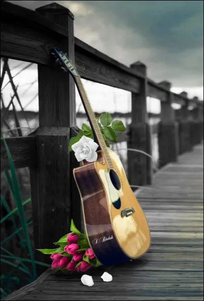 Qui chantait "J'ai la guitare qui me démange" ?