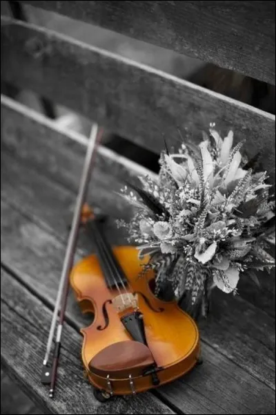 On termine avec un poète bien connu qui relate "Les sanglots longs des violons de l'automne" :