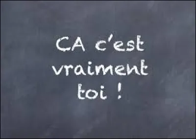 "Ça, c'est vraiment toi" est un titre interprété par...