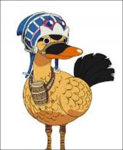 Qui est cet animal ?