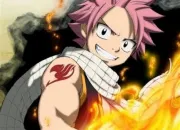 Quiz Fairy Tail