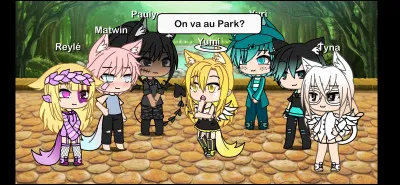 Tes amis te demandent de sortir au parc d'à côté, que réponds-tu ?