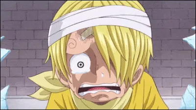 Quel &acirc;ge a Sanji ?