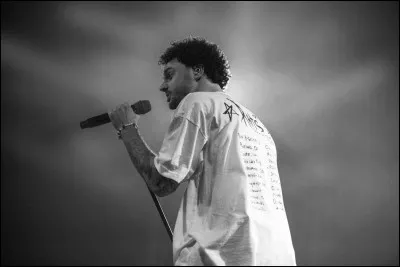 Quelle est sa musique la plus &eacute;cout&eacute;e ?