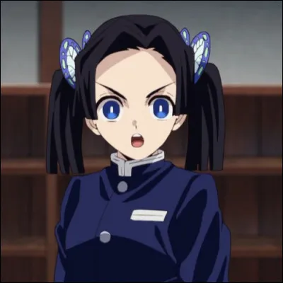 À quel endroit Tanjiro, Zenitsu et Inosuke se sont-ils faits guérir ?