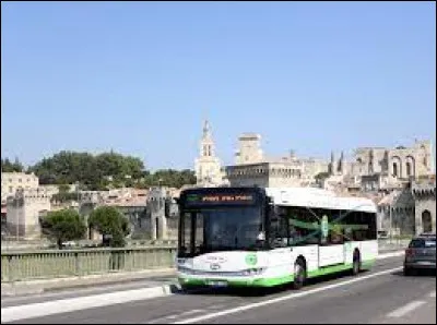 À force de rater le bus, tu vas devenir champion de...