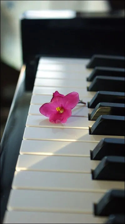 Il a juste mis "4 mots sur un piano" :