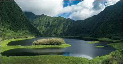 Quel lieu privilégies-tu pendant l'été ?