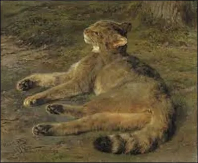 En 1850, quel (le) naturaliste a réalisé cette toile nommée ''Chat sauvage'' ?