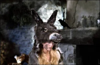 Via quel support Peau d'Âne va-t-elle voir le prince pour la première fois ?