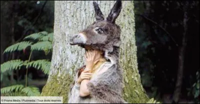 Quelle couleur est associée au royaume du prince ?