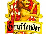 Test A combien de % es-tu Gryffondor ?
