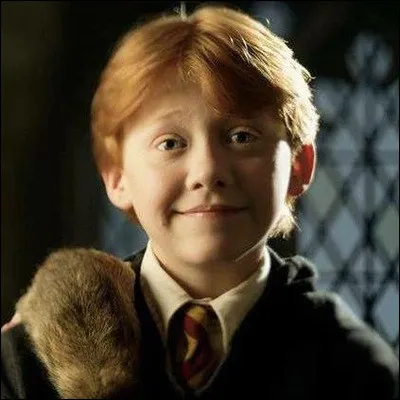 Choisis une image pour Ron.