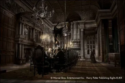 Quel lieu aimerais-tu prendre comme place forte des Mangemorts ?