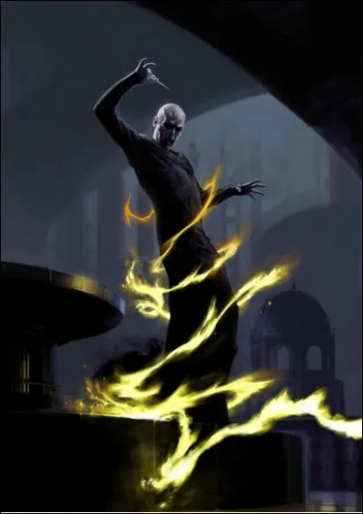 Es-tu loyal à Voldemort ou sers-tu seulement tes propres idéaux en tant que Mangemort ?