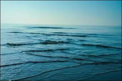 Si tu vois des vagues carrées dans l'océan, que faut-il faire ?