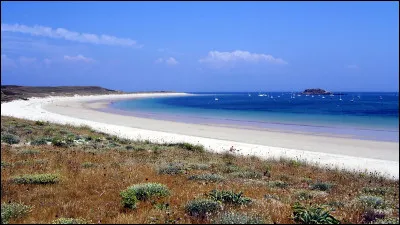 Lequel de ces mots veut dire "grand" ?