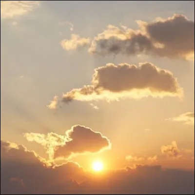 Quelle est votre saison préférée ?