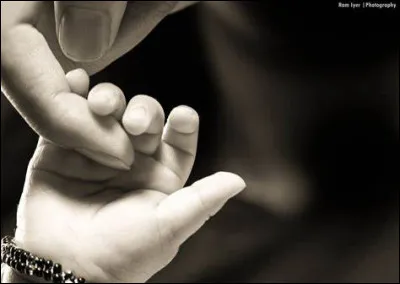 Lequel de ces doigts se forme en dernier chez le ftus ?