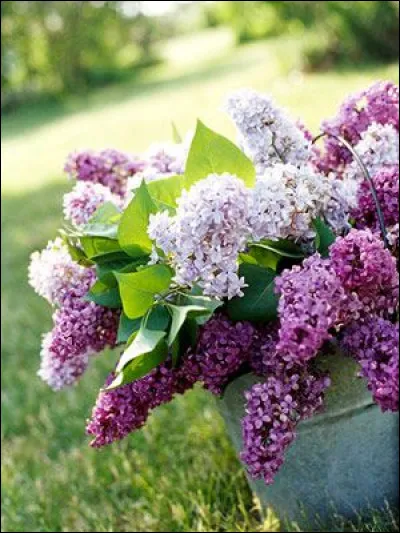 A quel point Cabrel aime-t-il ?