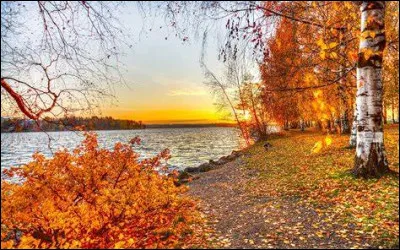 Quel était le métier d'Aimé Octobre ?