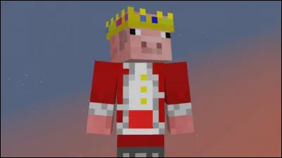 Et quel est ce très célèbre youtubeur ?