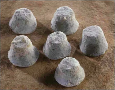 Le ''Bouton de Culotte'' est un fromage élaboré avec quel lait ?