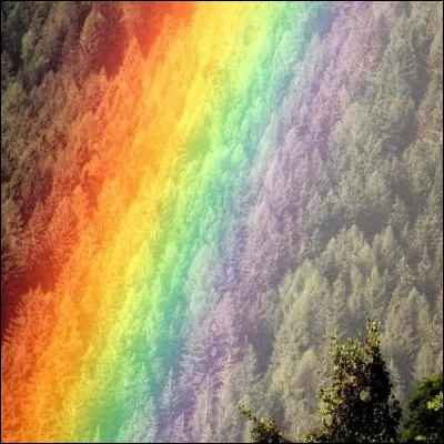 Est-elle sur cette image ?