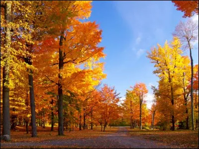 Dans l'hémisphère sud, Noël est en été.