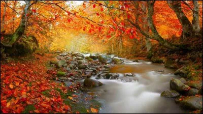 "Koh-Lanta" est une émission télévisée passant sur TF1.