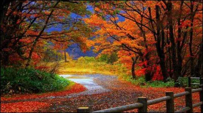 Le groupement hydroxyle correspond à une fonction alcool.