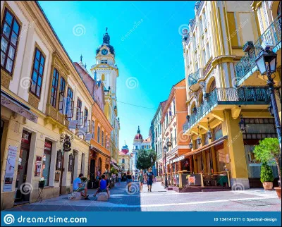 La ville de Pécs se trouve en...