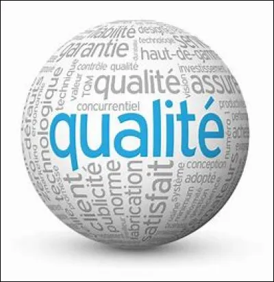 Quelle qualité te correspond le plus ?