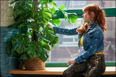 Quelles sont tes plantes pr&eacute;f&eacute;r&eacute;es ?