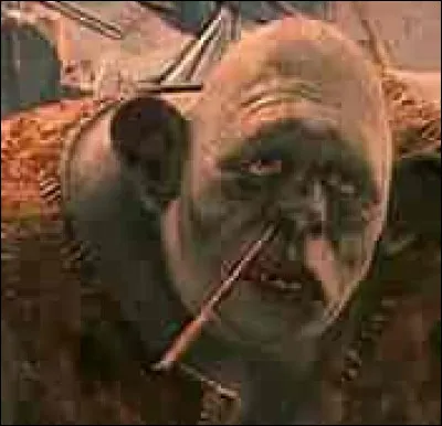 Un troll est devenu fou dans létude du directeur à Poudlard. Il est sur le point de briser, décraser et de déchirer plusieurs objets et trésors irremplaçables. Lequel sauves-tu ?