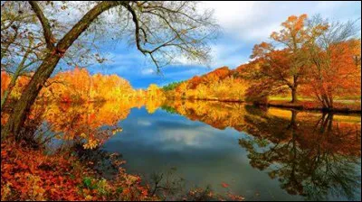 Dans lequel de ces sports plaque-t-on son adversaire ?