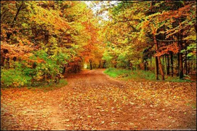 De quel pays la ville de Bamako est-elle la capitale ?