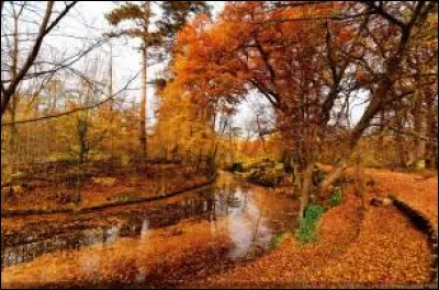 En quelle année la fête de la Fédération a-t-elle été célébrée pour la première fois ?