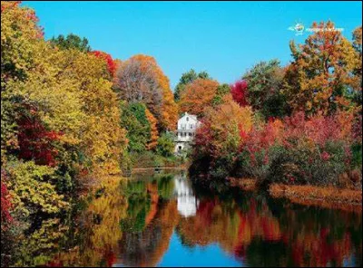 Sur quelle chaîne pourrez-vous regarder "Koh-Lanta" ?